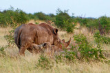 Rovos Africa-2015_011.jpg