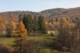 Slovakian Landscape 8