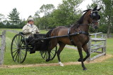 Horse Show_005F.JPG