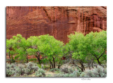 Capitol Reef National Park