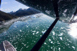 Top view of LeConte Ice Field from Float Plane