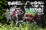 Graffiti in the bushes