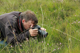Martin en Veenbesblauwtje