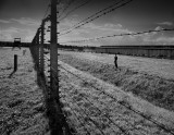 Auschwitz II - Birkenau, Poland