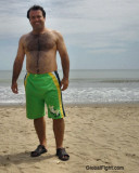 beach bears gallery.jpg