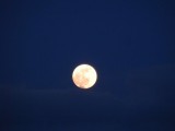 Swansea moon 14 April