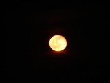 Swansea moon 16 April