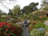  Lea Rhododendron Garden