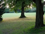 Hatherley Park at dusk