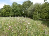 Border near the pavilion