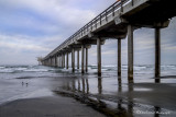 Scripps Pier