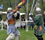 SpringCrown2015_0877_edited-1.JPG