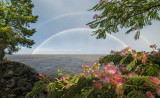 Double Rainbow 