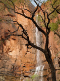 Zion Waterfall