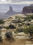 Canyonlands N.P.