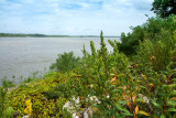 Big Muddy