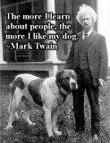 like my dog.jpg