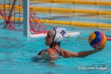 Water Polo