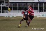 Barbados Rugby