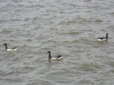 Dscn3632.jpg