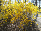 Dscn3686.jpg