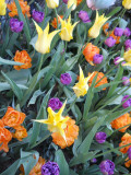Dscn3736.jpg