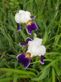 Dscn3898.jpg
