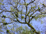 DSCN4576.jpg