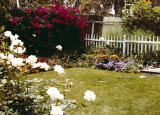 1314 Cabrillo Backyard 01.jpg