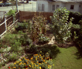 1314 Cabrillo Backyard 06 from neg.jpg