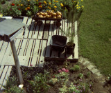 1314 Cabrillo Backyard 11 from neg.jpg