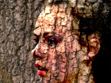 Girl in wood