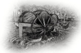 Wine barrels at Estrella del Norte - Namb NM