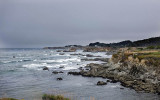 The Pacific as seen from the Mendocino Botanical Gardens