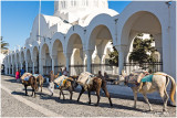Santorini - Fira