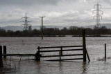 Soggy Pylons