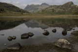 Rocky Reflections