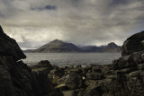Misty Cuillins