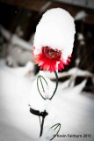 Hat made of Snow