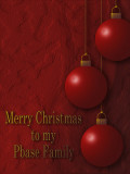 2013 Christmas Card