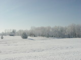 122804 010.jpg