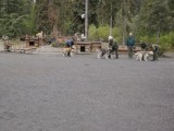 Mushing Demo