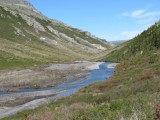 Savage River 