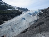 Exit Glacier