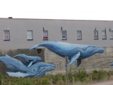 Blue Whales Mural near Sea Life Museum