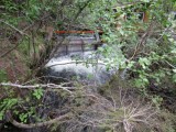 Salmon Weir 