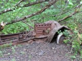 Relic 