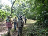 Bird Walk at El Mirador