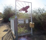 Gilbert Road Riparian Preserve