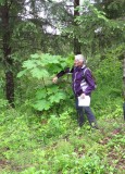 Rebecca showing us Cow Parsley